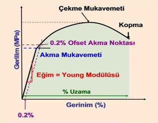 mazlum boru